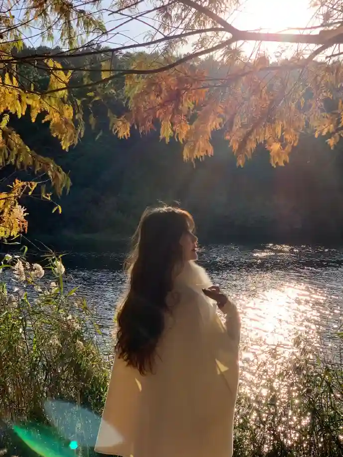 A站视频下载技术原理示意图